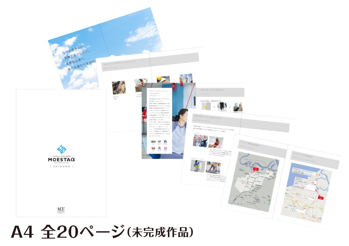 デザイン歴20年のプロが伝わるパンフレット作ります 色々な業界を手掛けているからお客様に届く！ イメージ8