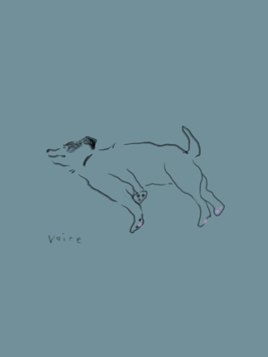 シンプルな動物イラスト描きます お部屋に飾ったり、ロゴにしたりできます。 イメージ3