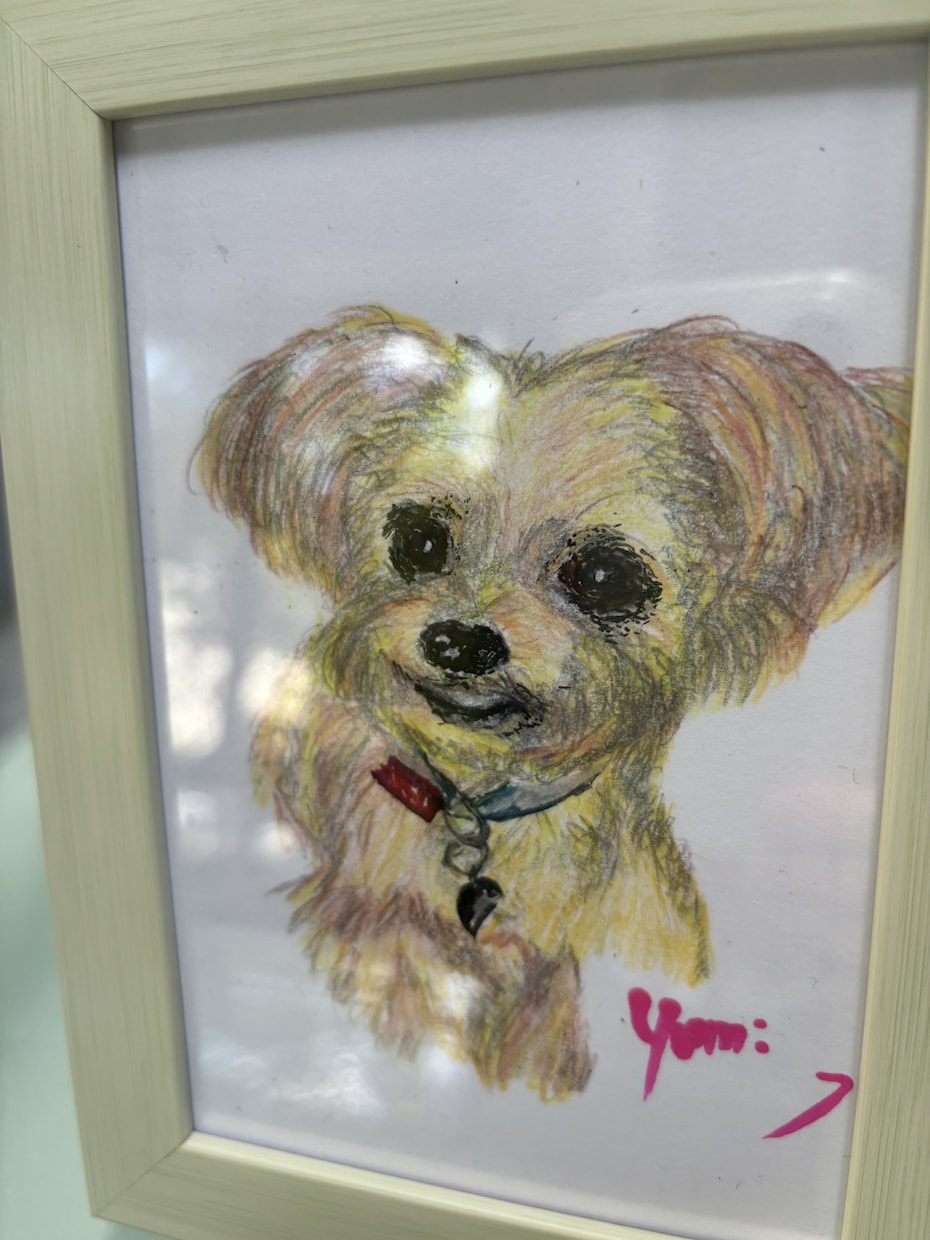 うちの子、お空ぐみの子、を可愛く描きます 可愛くフリーハンド、色鉛筆等でポストサイズからA4判サイズ イメージ4