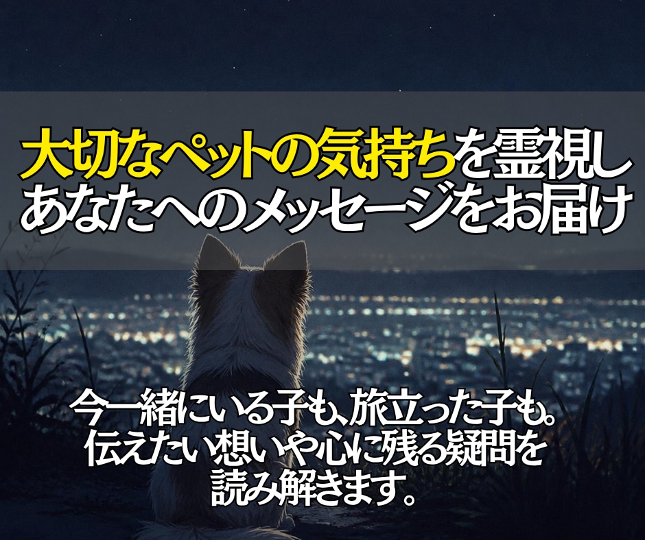 大切なペットの気持ちを霊視で読み取りお伝えします 写真を通してペットの想いに寄添い飼い主様へメッセージをお届け イメージ3
