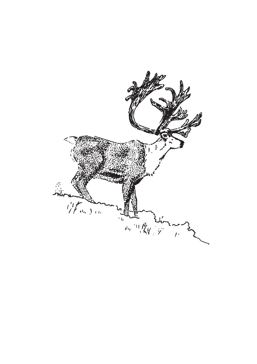 手描き感がかっこいいカットイラスト描きます 程よくリアルタッチなディテール細かい線画のカットイラスト イメージ3