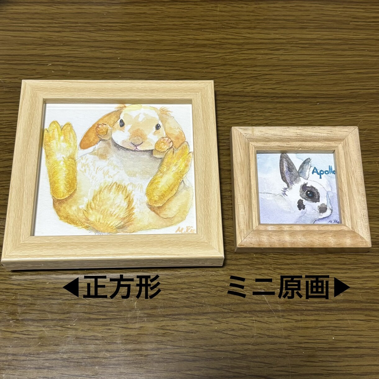 小さいサイズで、動物ちゃんの似顔絵描きます ふんわり優しく♬.*ﾟ可愛らしい表情を描きます イメージ7