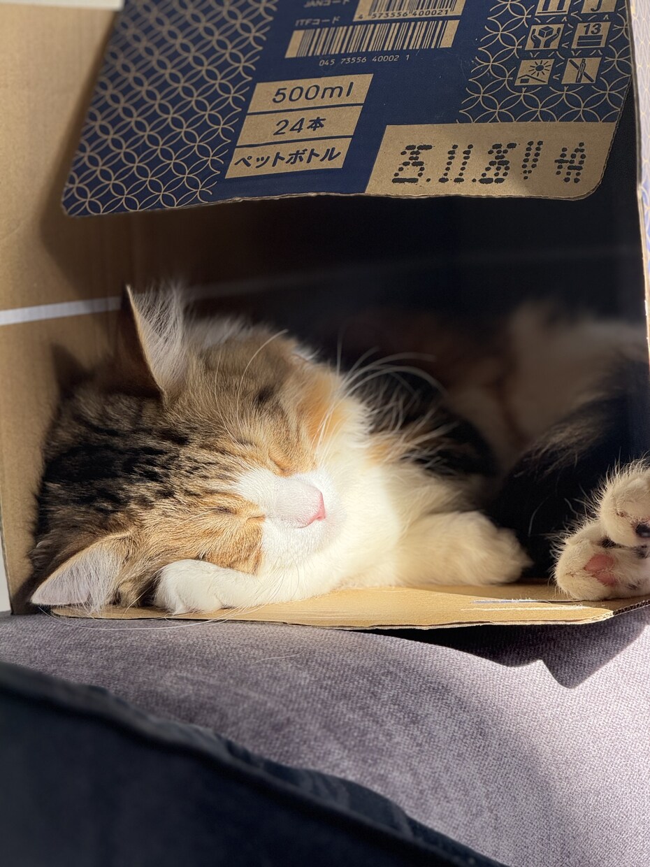 30代の僕が貴方に寄り添い優しくお聞きします ちょっと話したいだけ、でも全然OK！お話ししましょう♪ イメージ4