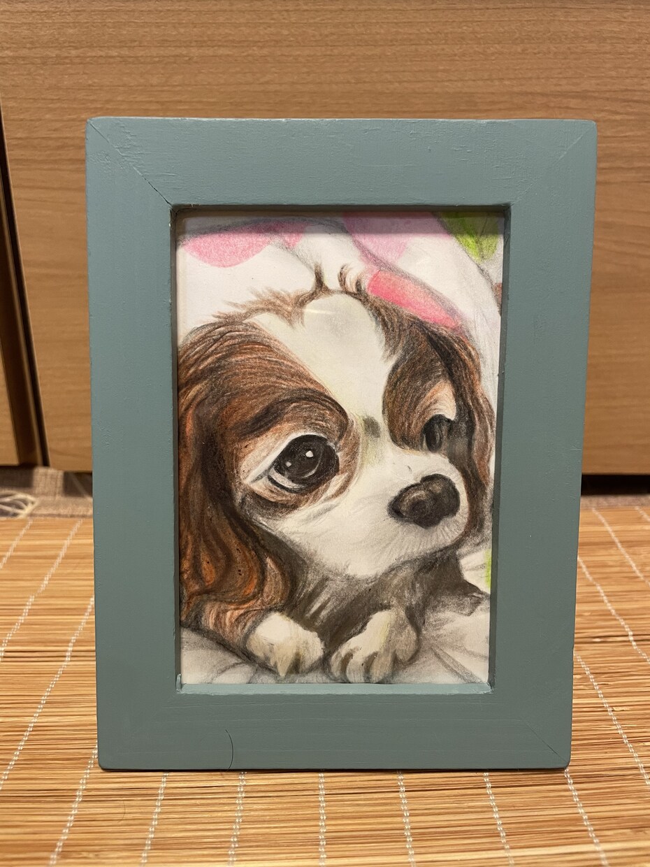 色鉛筆であなたのペットや思い出の風景を描きます 大切な思い出の瞬間を永遠の記憶として残しませんか？ イメージ1