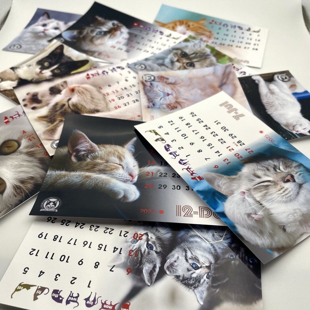 猫の愛くるしい瞬間を集めたフォトカレンダー作ります 2025年度版縁なしフル画像の卓上カレンダーで毎日を一緒に！ イメージ2