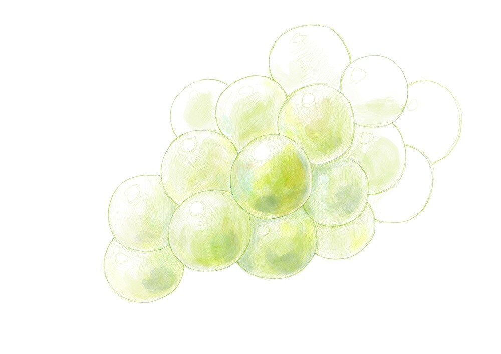 繊細な植物・果物・野菜のイラストを描きます みずみずしく印象に残るイラストです。 イメージ6