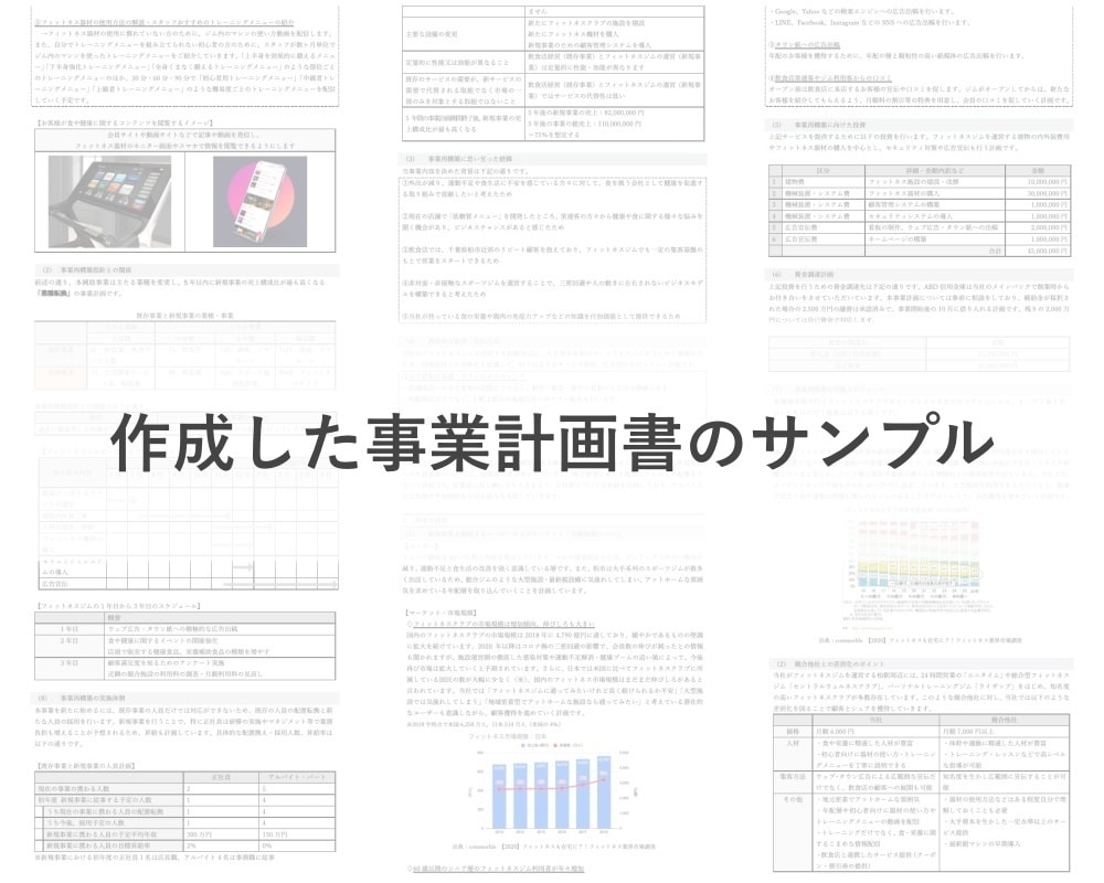 事業再構築補助金の事業計画書を作成します 会社評価のプロ×補助金コンサルタントが事業計画書を作成します イメージ3