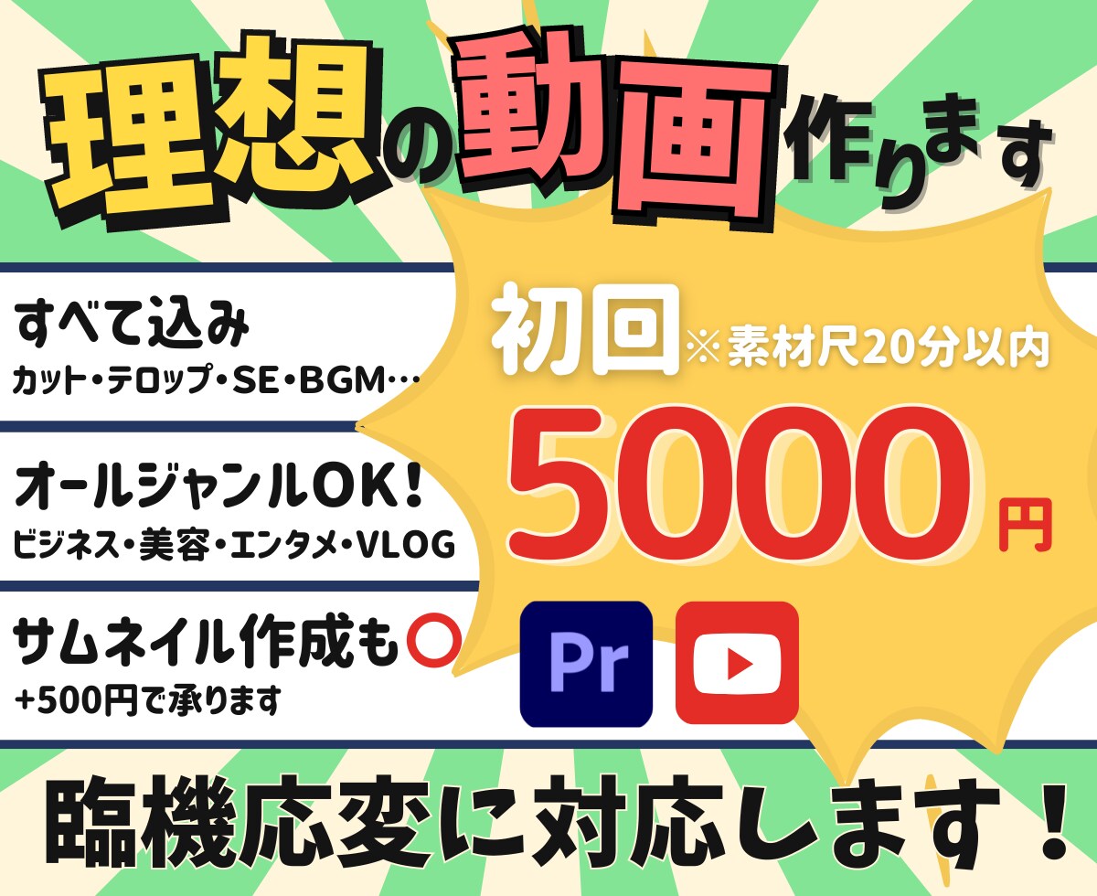 理想の動画作ります 全てコミコミ！初回20分以内5000円｜まずはご相談ください イメージ1