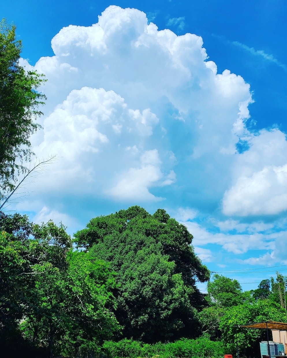 夏らしい写真お届けします 夏らしい入道雲の写真を撮りました！ イメージ1