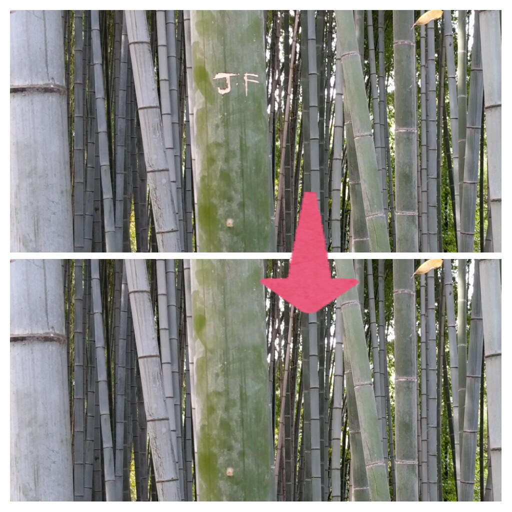 コラ画像作成します 渡された2枚の画像を合成します。 イメージ4