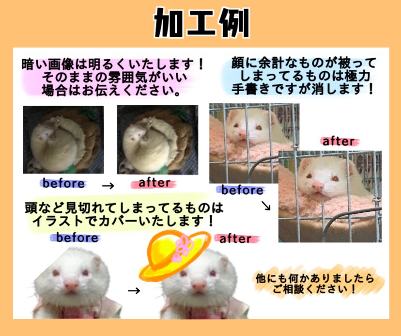貴方の大切なものを形に！LINEスタンプ作ります 猫ちゃんワンちゃん！もちろんあかちゃん家族もOKアレンジも◎ イメージ3