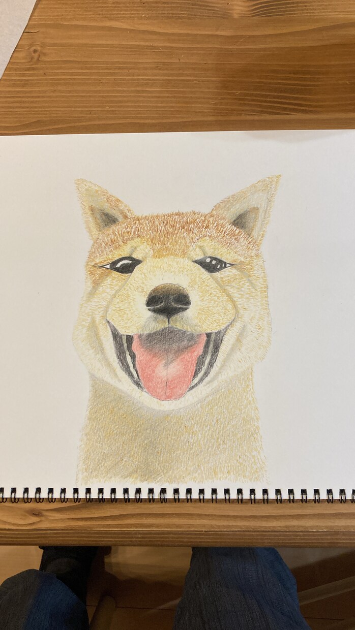 動物や似顔絵を色鉛筆で優しく描きます 育児をしているパパが色鉛筆でユーモアな絵を描きます^_^ イメージ8