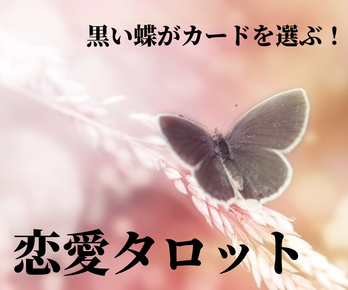 黒い蝶が選ぶ！あなたの恋愛をタロットで占います 幸運・良縁を意味する黒い蝶がリーディングします！ イメージ1