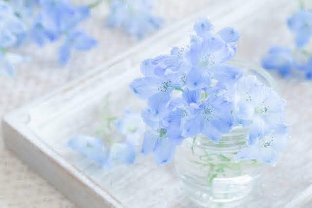 目標達成を2週間応援します✿2人ならきっと出来ます ✿宣言・報告♪無制限応援メッセージで習慣化/継続をサポート✿ イメージ9