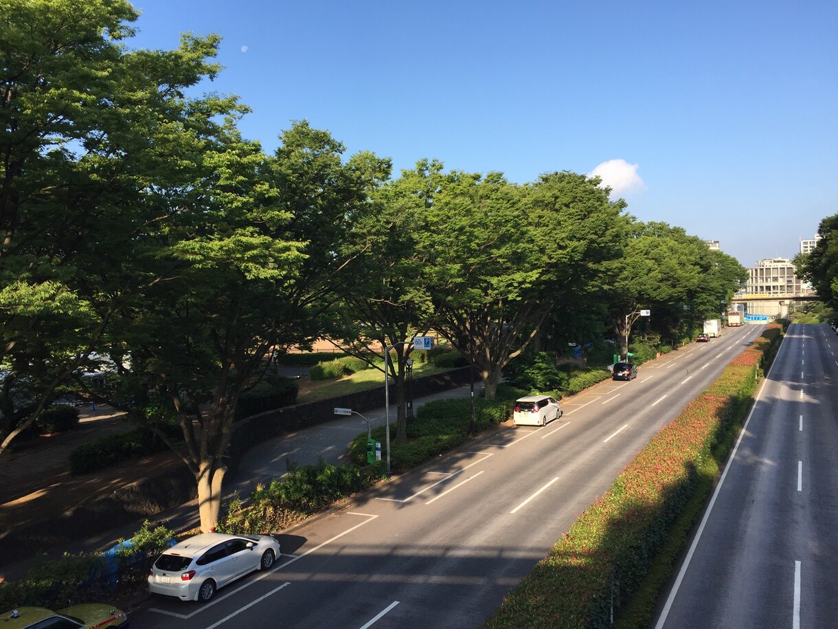 東京都内とその近郊のスナップ写真を撮影します スマホ写真から一眼カメラの高画質画像まで何でもＯＫ イメージ3