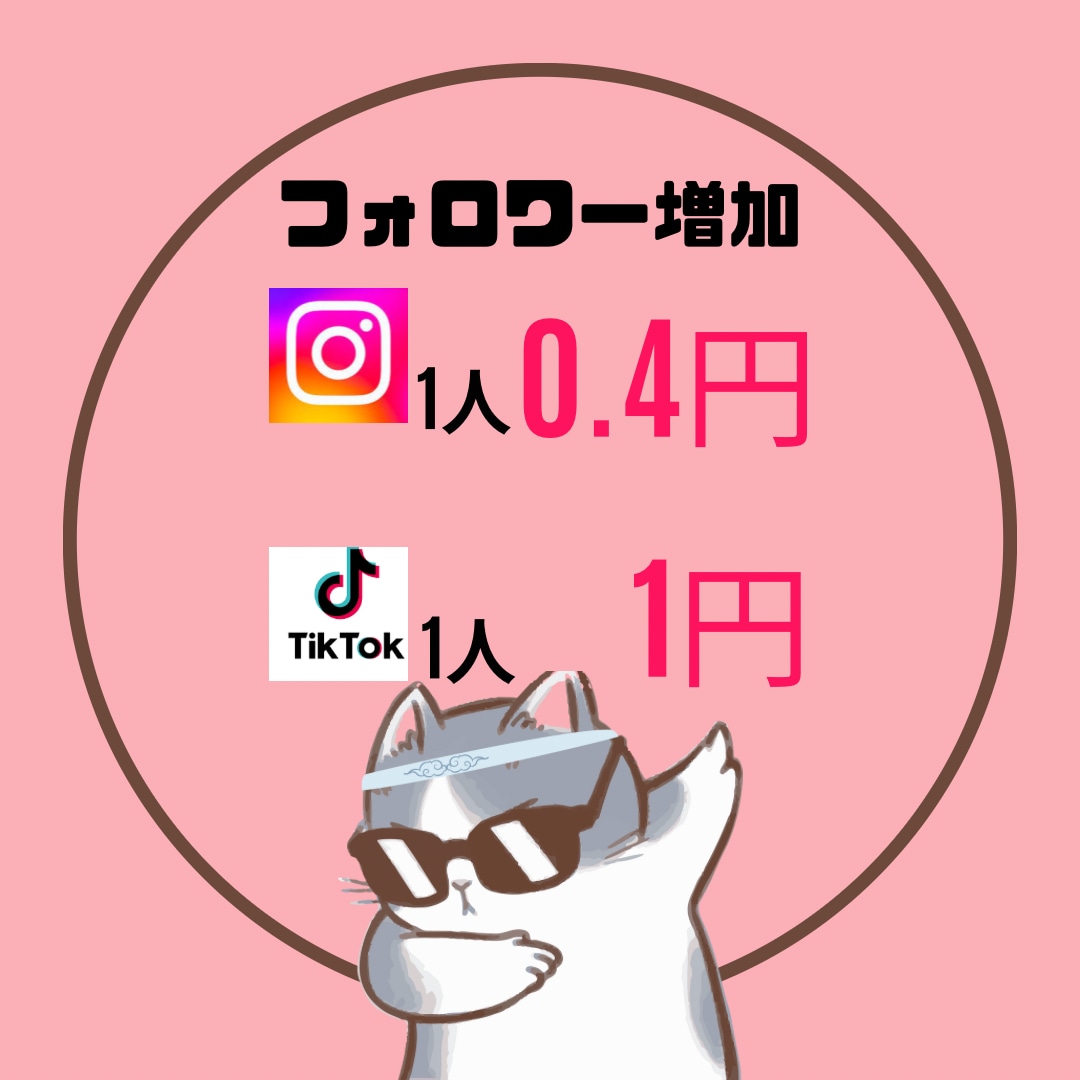 TikTok,インスタ等FW3000人獲得します 楽してSNSでの認知度アップ！！ イメージ1