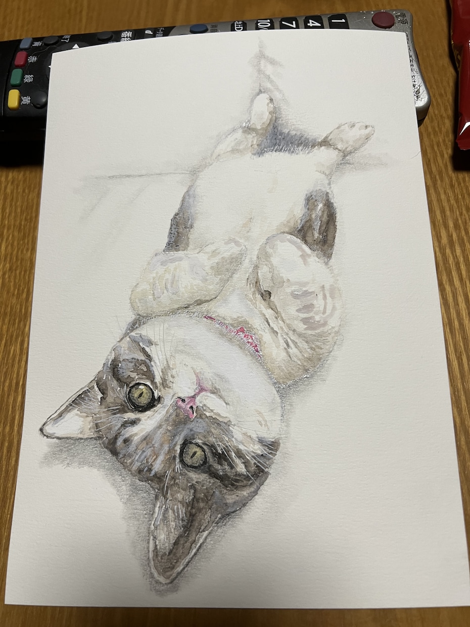 犬や猫の絵を描きます 画像からえんぴつや顔彩で絵を描きます。 イメージ1