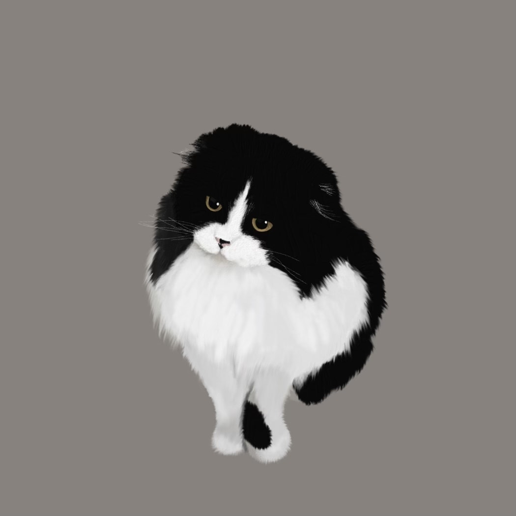 写真からそのまま猫の似顔絵を描きます 手書きであたたかみのあるイラスト(文字入れ可能) イメージ1