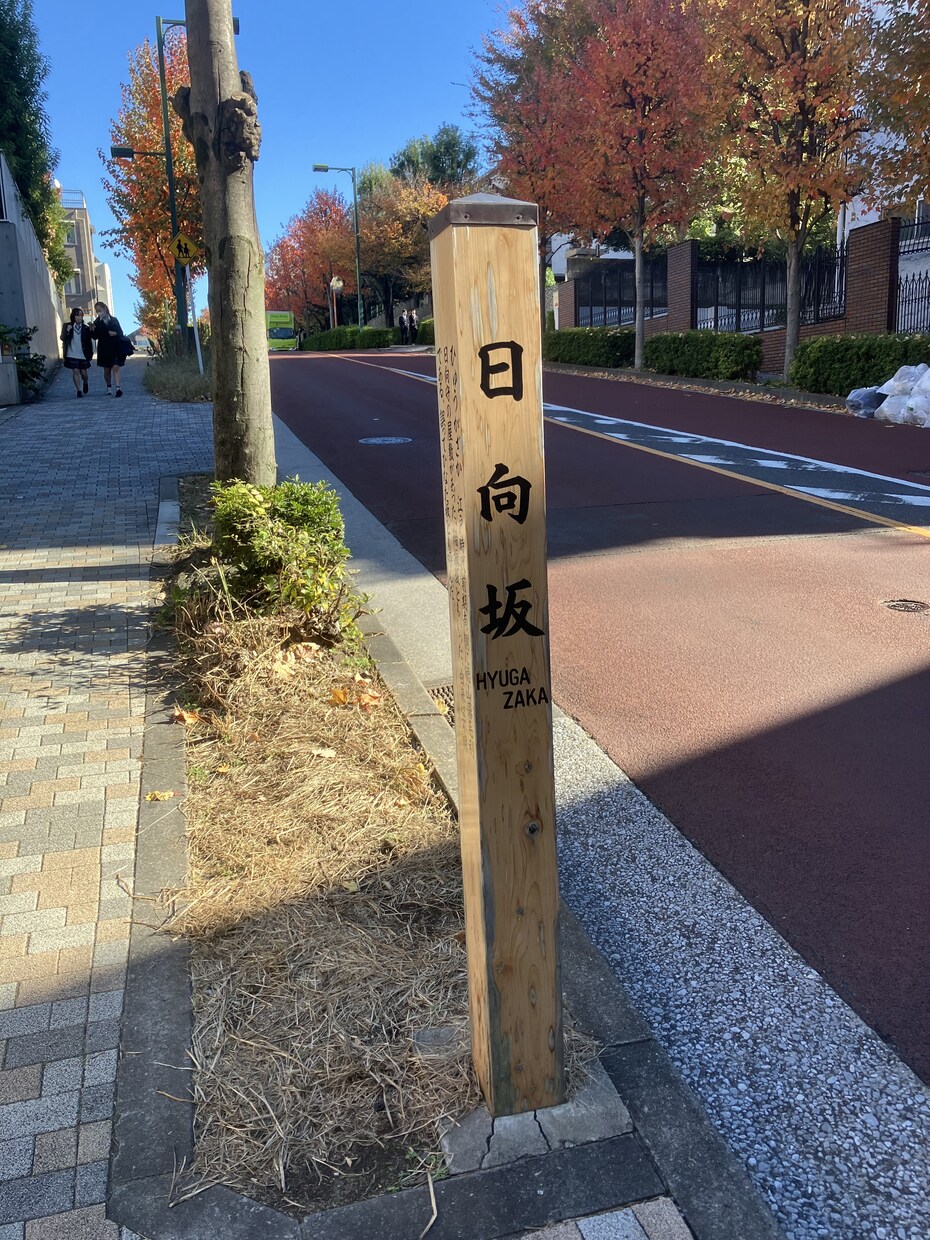 東京散歩を代行します あなたの代わりに東京を歩いて写真・動画でレポートします イメージ6