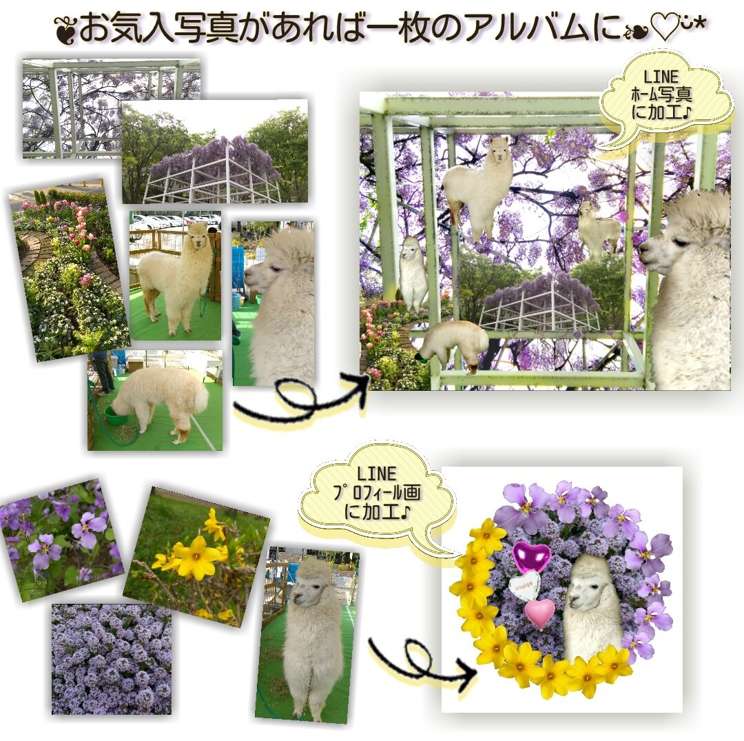 LINE❀ホーム画像❀を作成します ✧*｡沢山あるお気入写真を一枚に表現したい～が始まりです✧* イメージ1