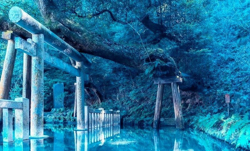 あなたの守護神•守護仏お教えします ~守って下さる神仏を霊査!!~ イメージ1