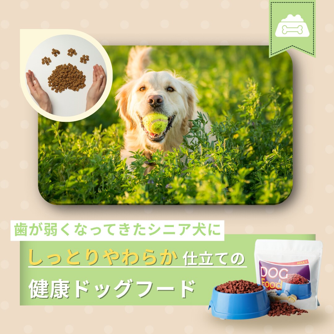 集客に強いバナー制作をデザインします 配色と余白で印象に残る一枚に仕上げます！ イメージ7