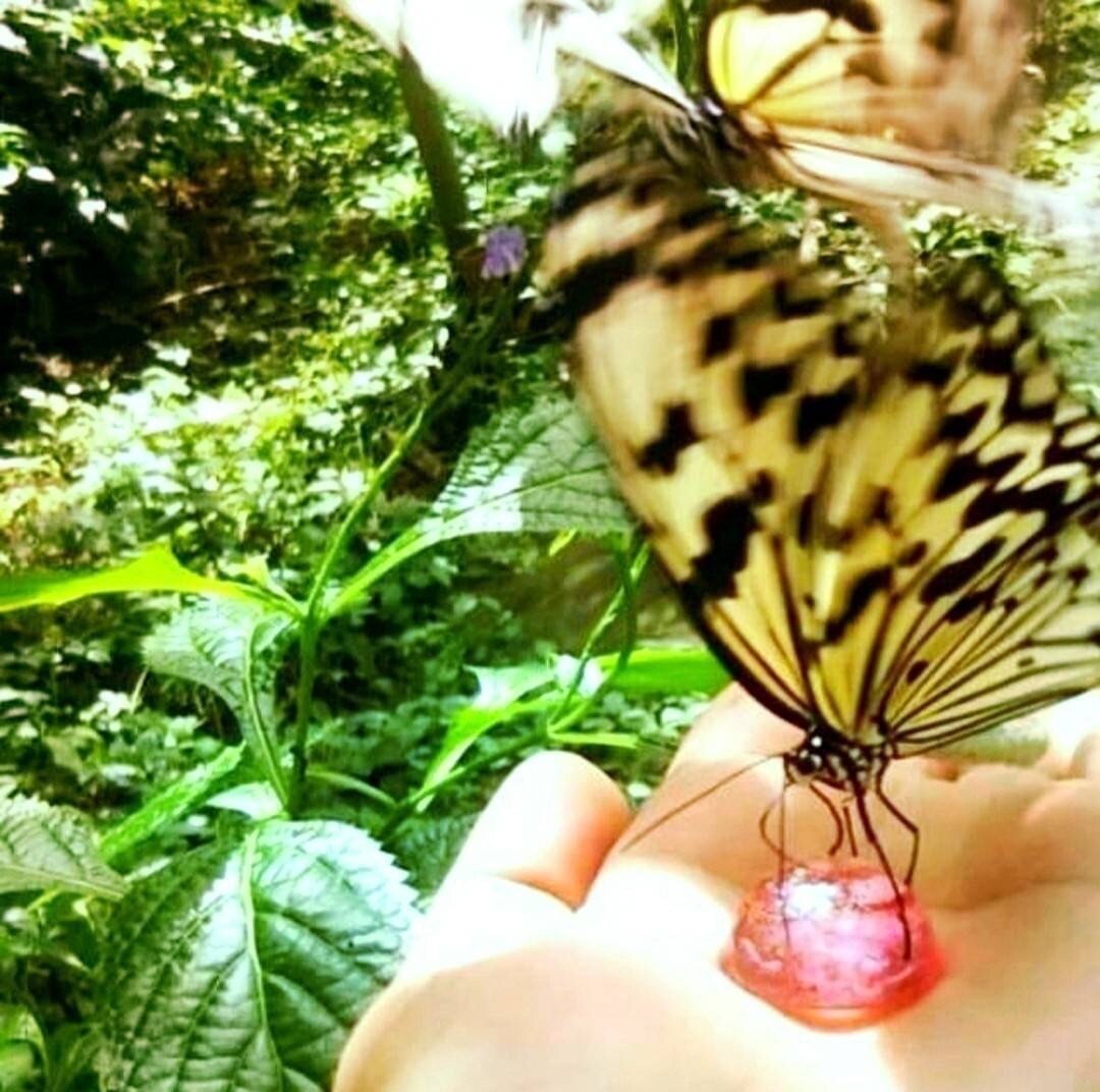 お子様の生まれ持った輝きから子育てのヒント伝えます 子供達は尊い存在です。お母さんの心も解放していきます。 イメージ10