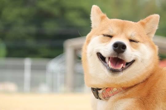 30分LINE感覚or半日ゆっくりチャットします 一日2名様まで♡チャットでお話しませんか？‎|•'-'•) イメージ4