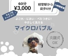 Instagram投稿用の画像を作成するます Instagram投稿用の画像を作成する イメージ2