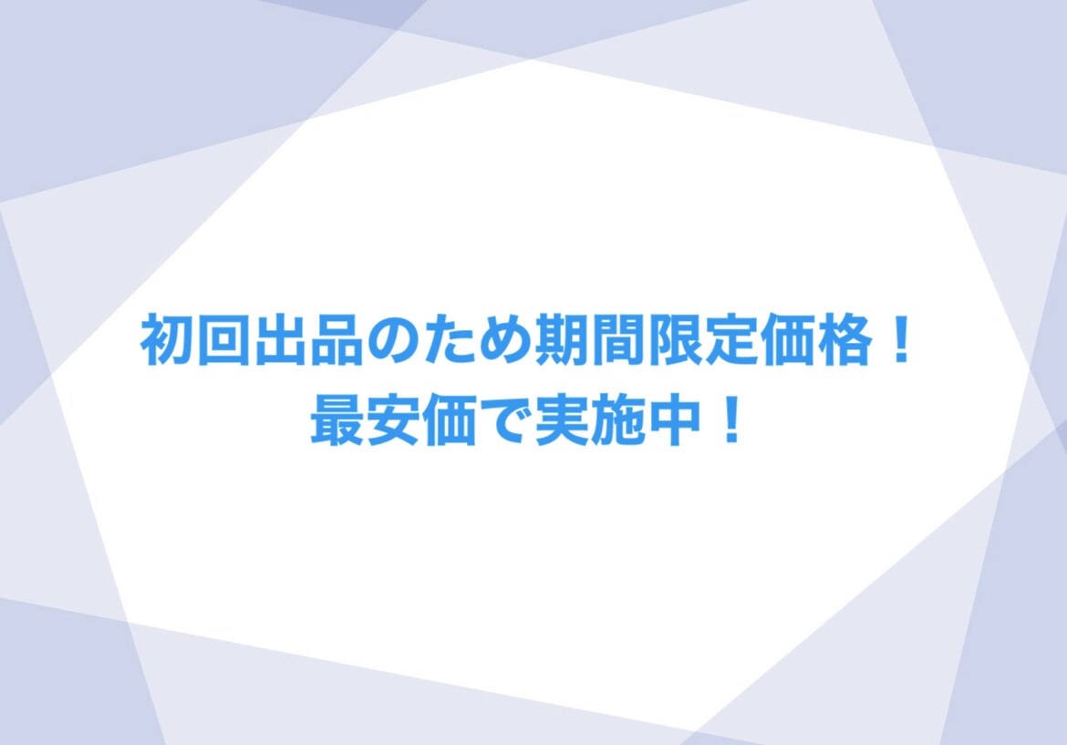 採用セミナー登壇者がES書類添削&アドバイスします 初回出品のため最安価で実施中！48時間以内に初回納品！ イメージ3