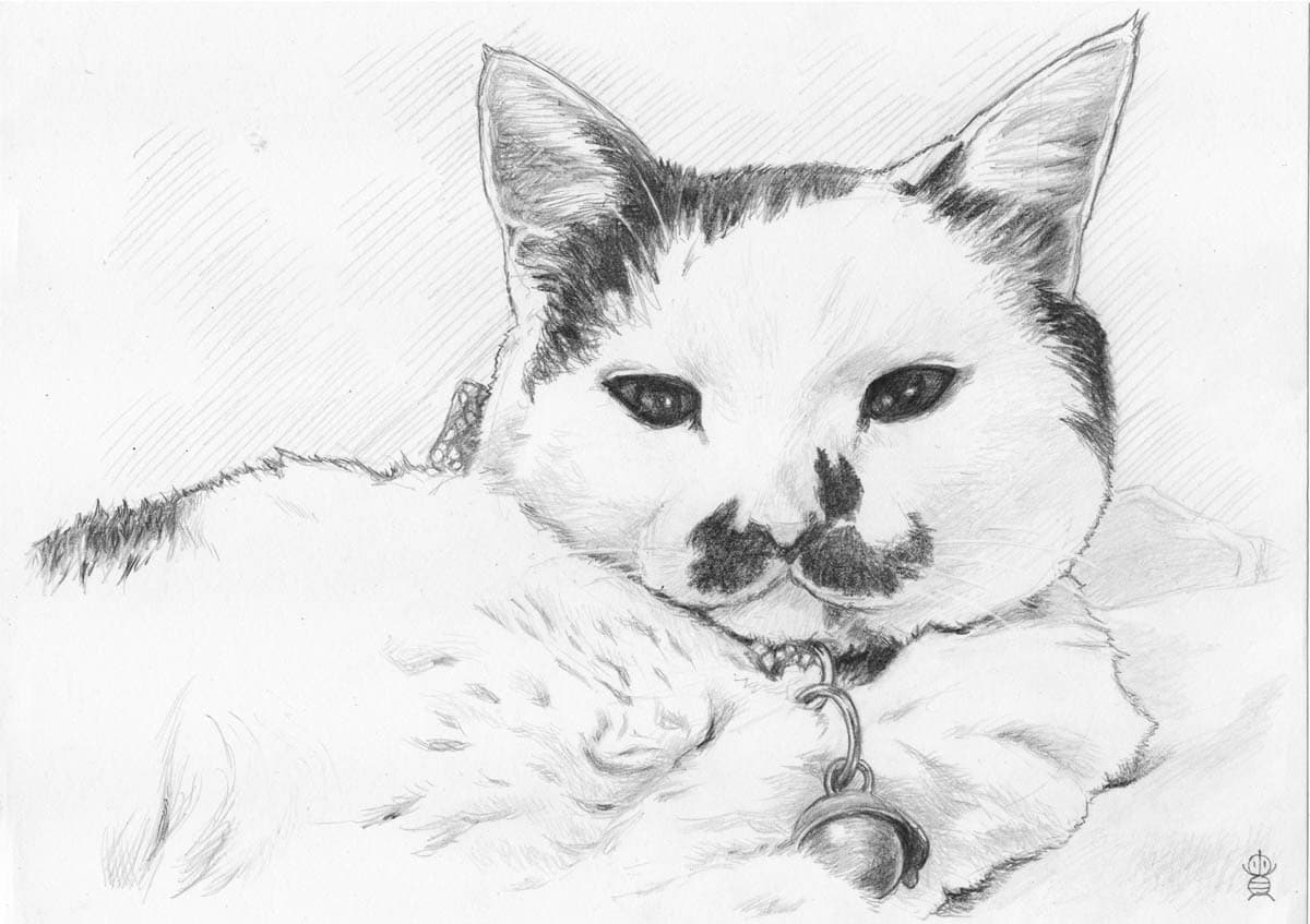 ペット・動物似顔絵お描きします 可愛いペット・動物を鉛筆／色鉛筆でスケッチ風、写実系似顔絵に イメージ4