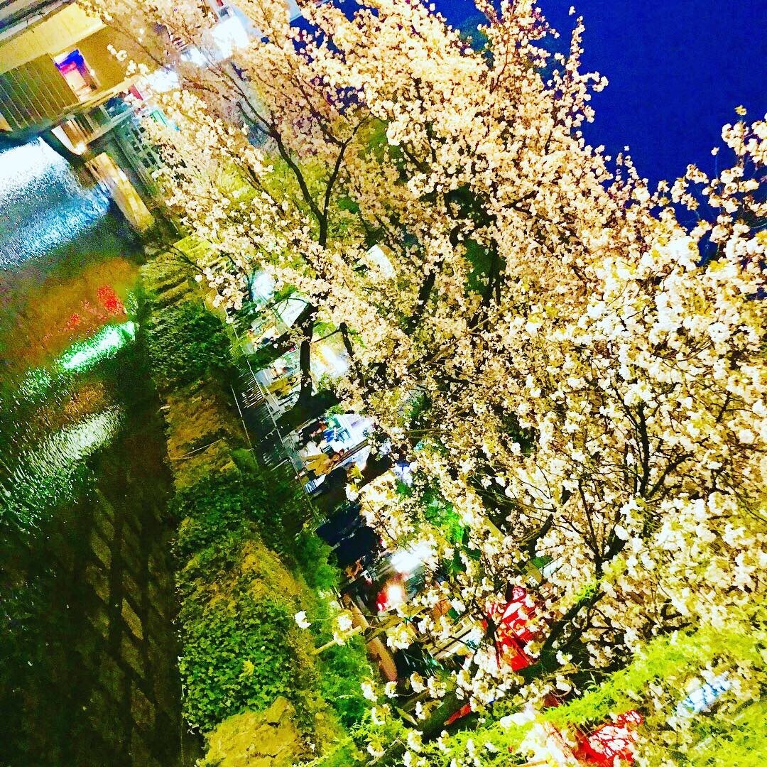 旅行・デートプランを立てるお手伝いを一緒にします 一生に一度のその日を共に味わいましょう。最高の1日を！！！ イメージ9