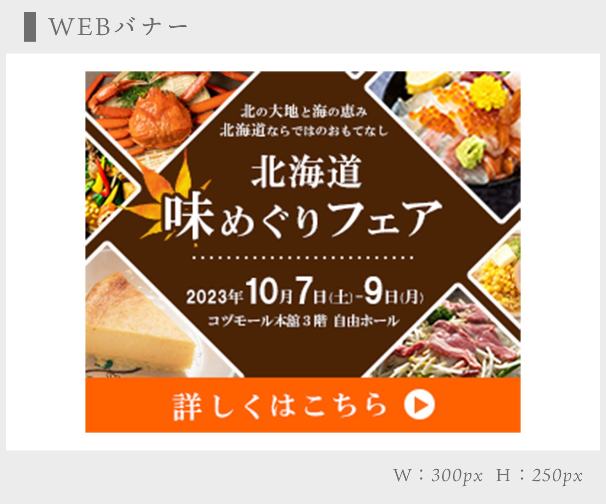 WEBのバナーを制作いたします 【10名様限定】特別価格でご提供！★6月30日まで イメージ8