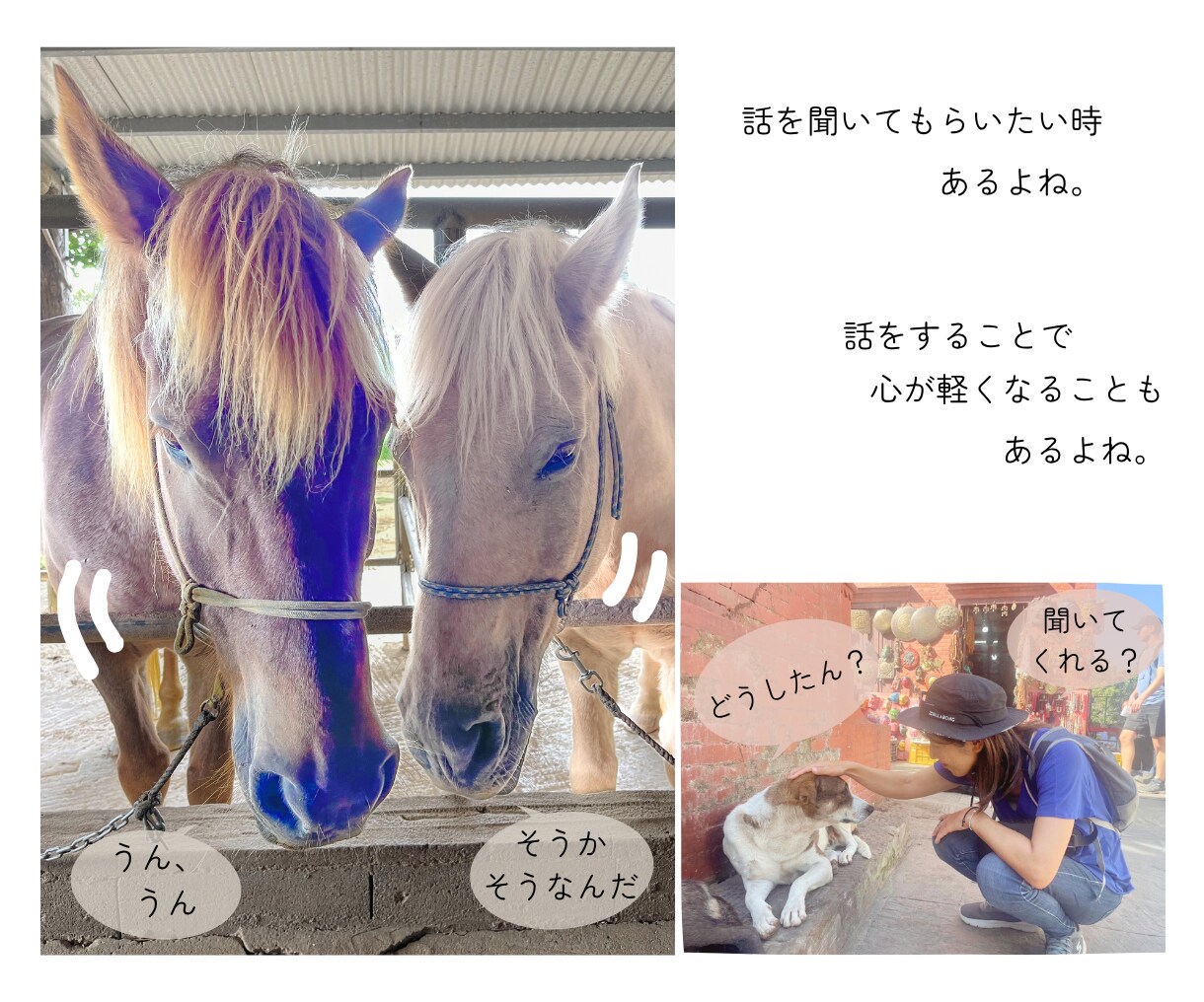 安心して話せる場所、ここにあります 「ありのままの自分」を受容するのに悩み続けた50代が聞きます イメージ3