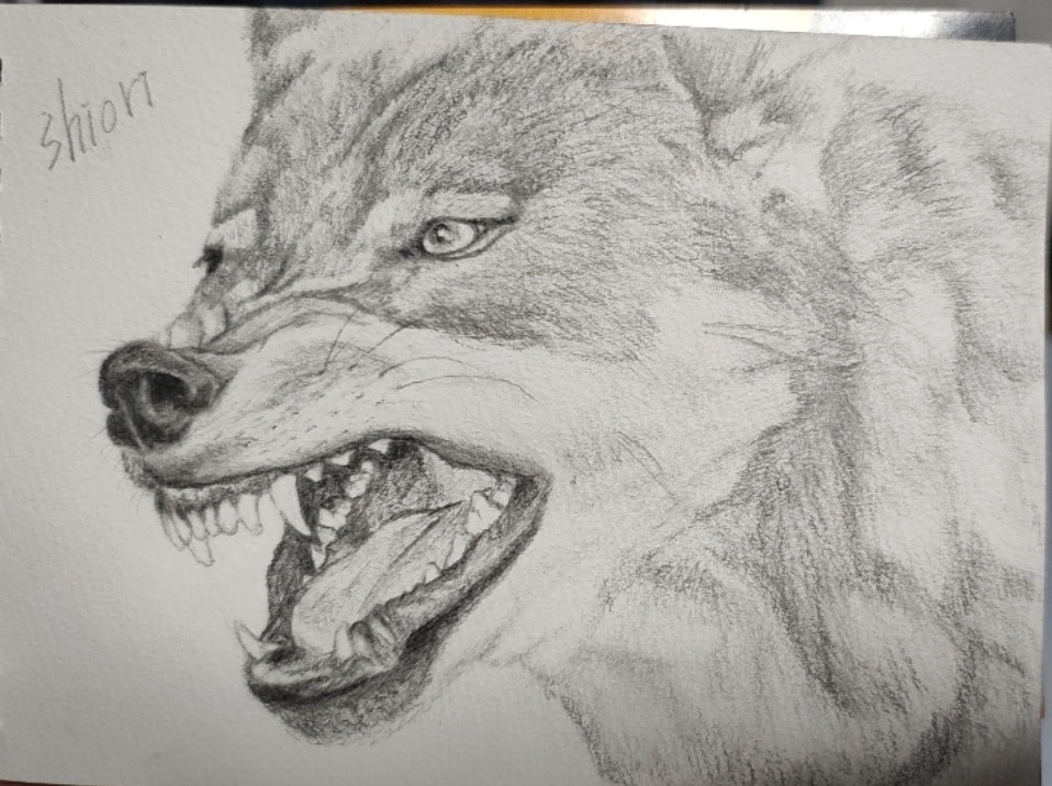 白い壁に深みを与えます 自然の神秘と畏怖を伝えられたら。 イメージ1