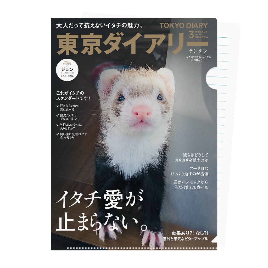 ファッション雑誌の表紙っぽいクリアファイル作ります とっておきの写真であなたのペットを雑誌デビューさせよう！ イメージ5