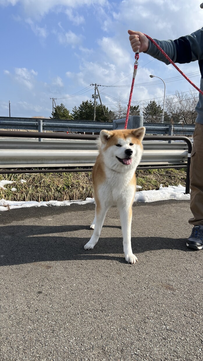 あなただけの東北旅行のベストなプランを作ります 東北6県を実際に巡った本人が最高の旅をご提案します！ イメージ8
