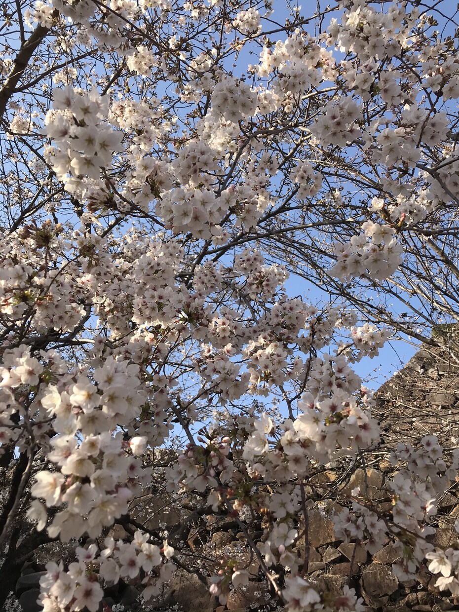 恋の相談乗ります 片想いから復縁まで何でも聞きます イメージ1