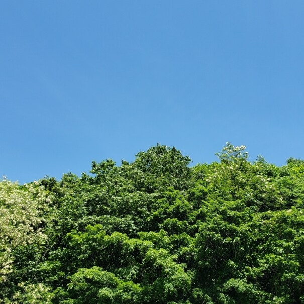 お悩みや愚痴聞きます 悩みを閉じ込めたままでは、ただのストレスにしかならない。 イメージ1