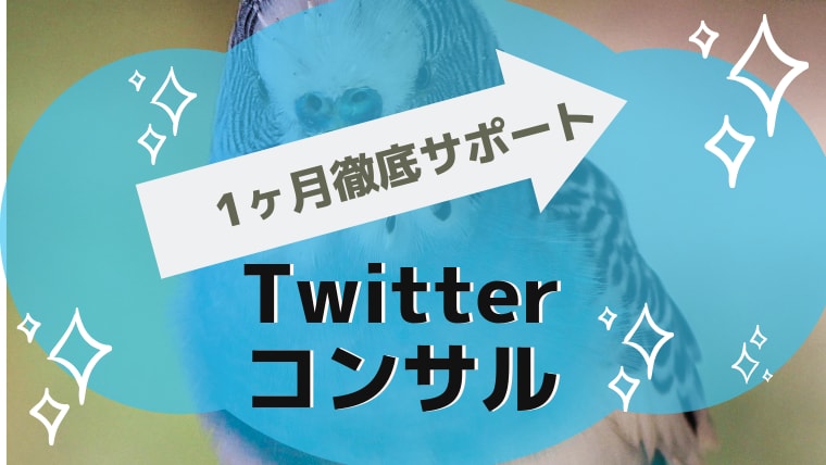 月2名限定！1ヶ月Twitterコンサルします いいね・RT・質問し放題で徹底的にレベルアップ！ イメージ1