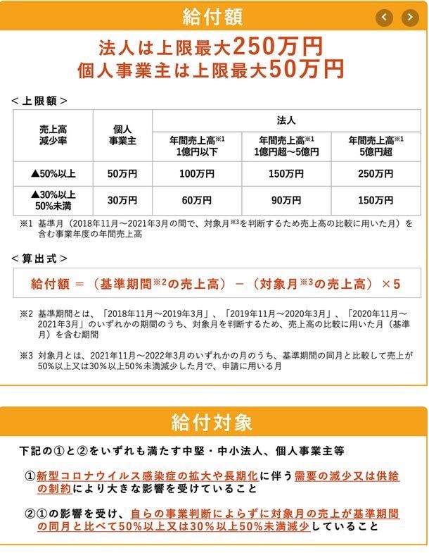 スマホ　事業復活支援金の事前確認を行います スマホ事前確認！登録確認機関をお探しの方、必見です イメージ2
