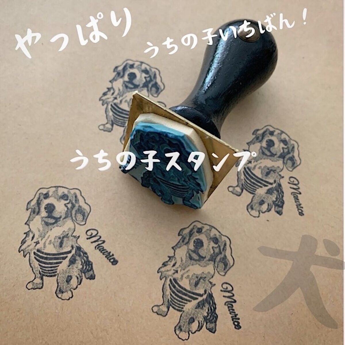愛猫・愛犬・愛鳥…オリジナルペットスタンプ作ります やっぱりうちの子！フルオーダーペットスタンプ作成 イメージ9