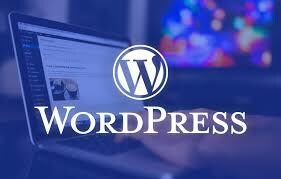 Word Press設置代行します Word pressの設置・初期設定などの面倒な作業を丸投げ イメージ2