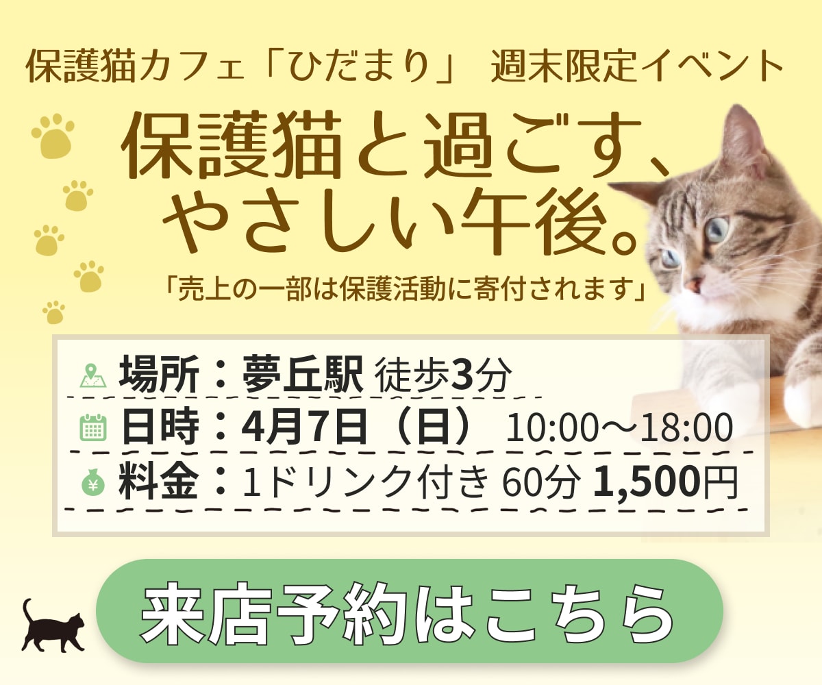 低価格！おしゃれバナー作成いたします 修正5回無料・納期7日以内・全サイズ対応 イメージ3
