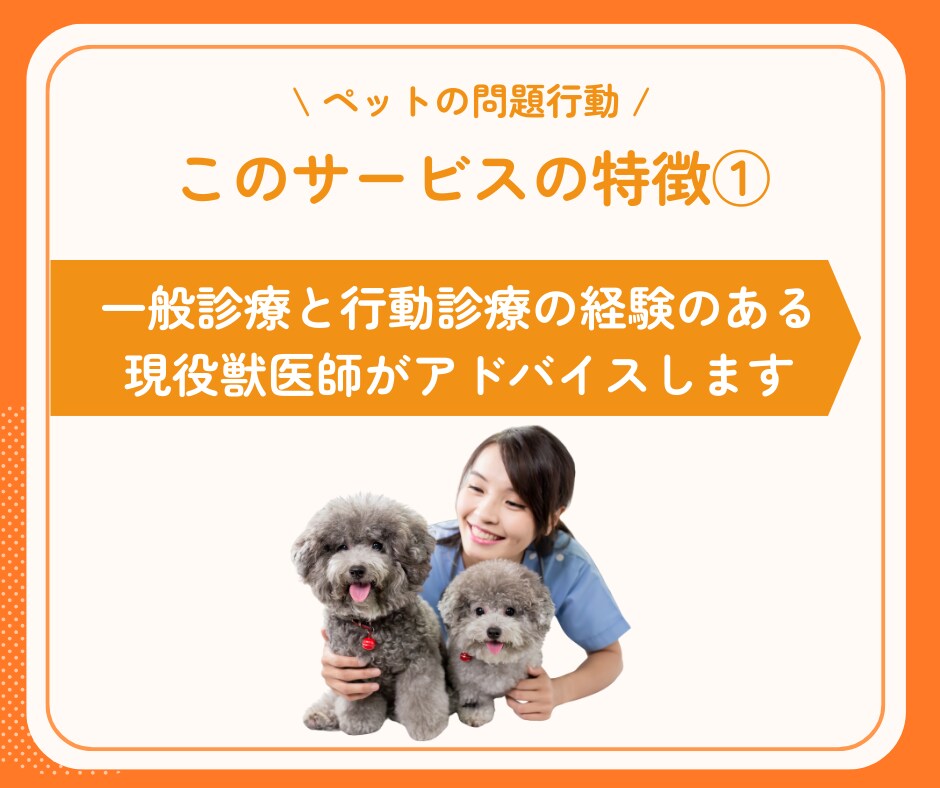 行動専門獣医師が猫の"困った行動"を解決します ★出品記念の為、初回3名まで最低価格でお受けします★ イメージ6
