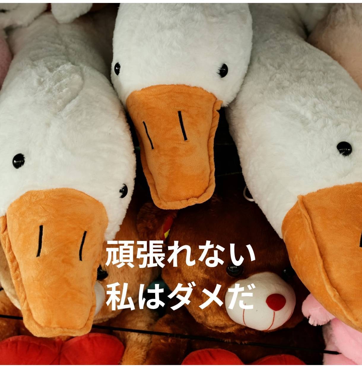 生きづらさを感じるあなたの気持ちをそっとゆるめます 学校や仕事に行けない動けない。そんなあなたの今を肯定する時間 イメージ4