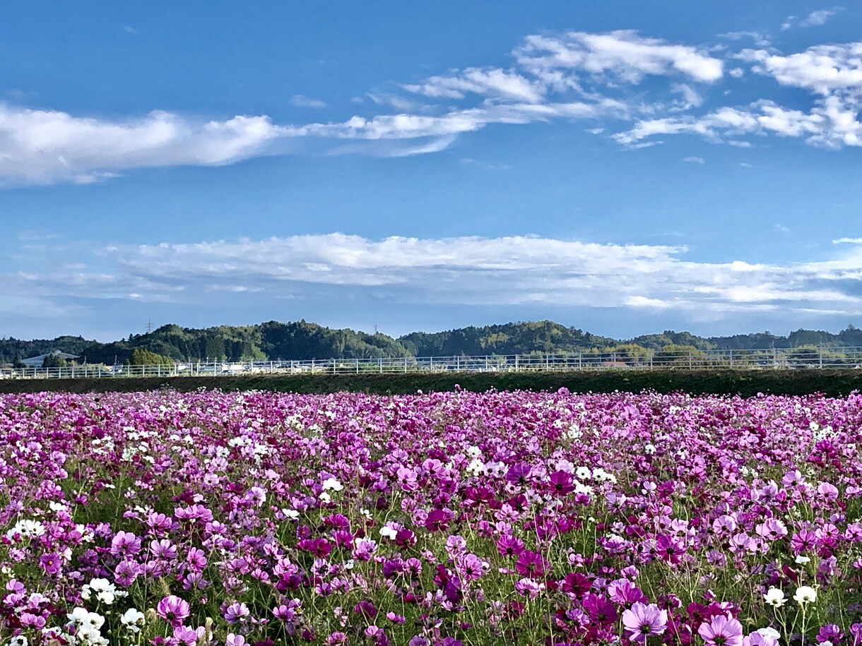 その思い聞かせてください。ゆっくり聞きます 誰かに聞いてほしい気持ち。あなたのペースで。 イメージ1
