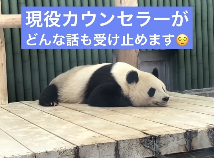 現役カウンセラーがあなたの気持ち受け止めます 愚痴でもお悩みでも雑談でも...話してスッキリしませんか？ イメージ1