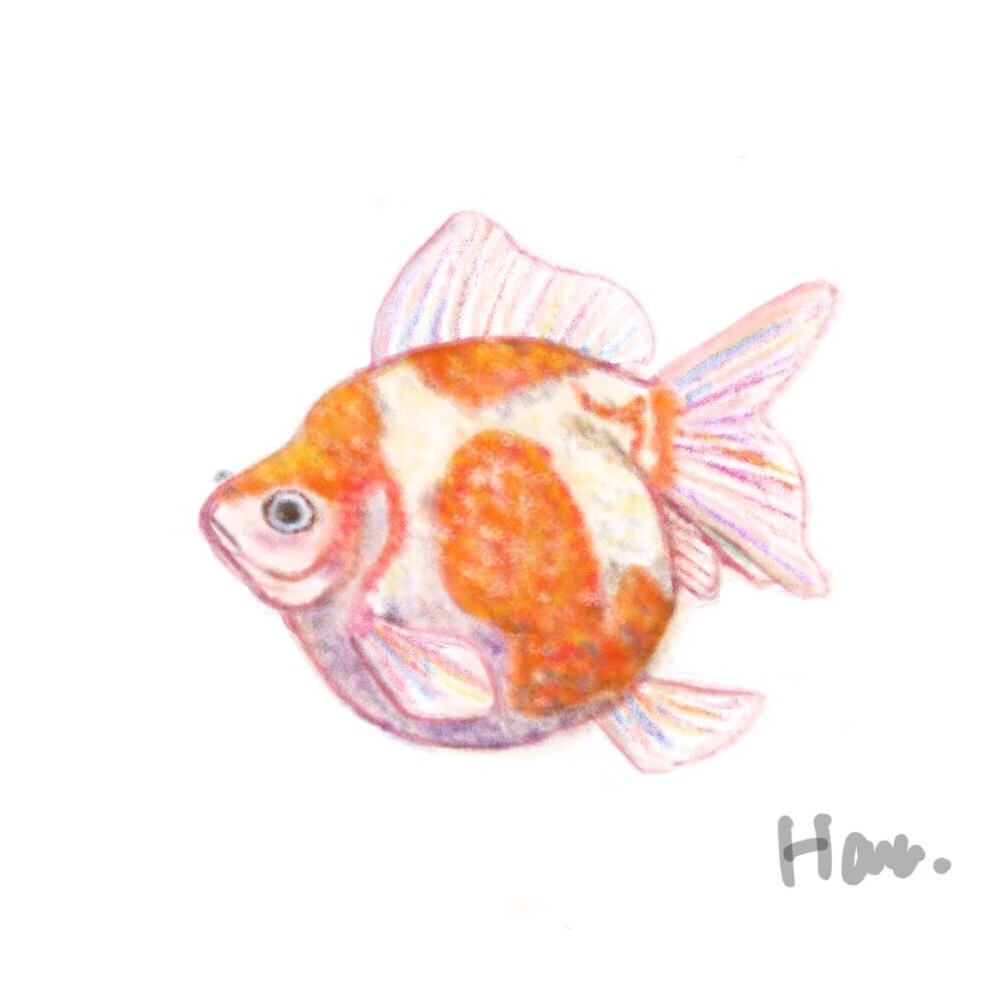 程よくリアルで暖かみのあるイラスト描きます 商用案件から個人観賞用まで 生き物を中心に描きます イメージ2