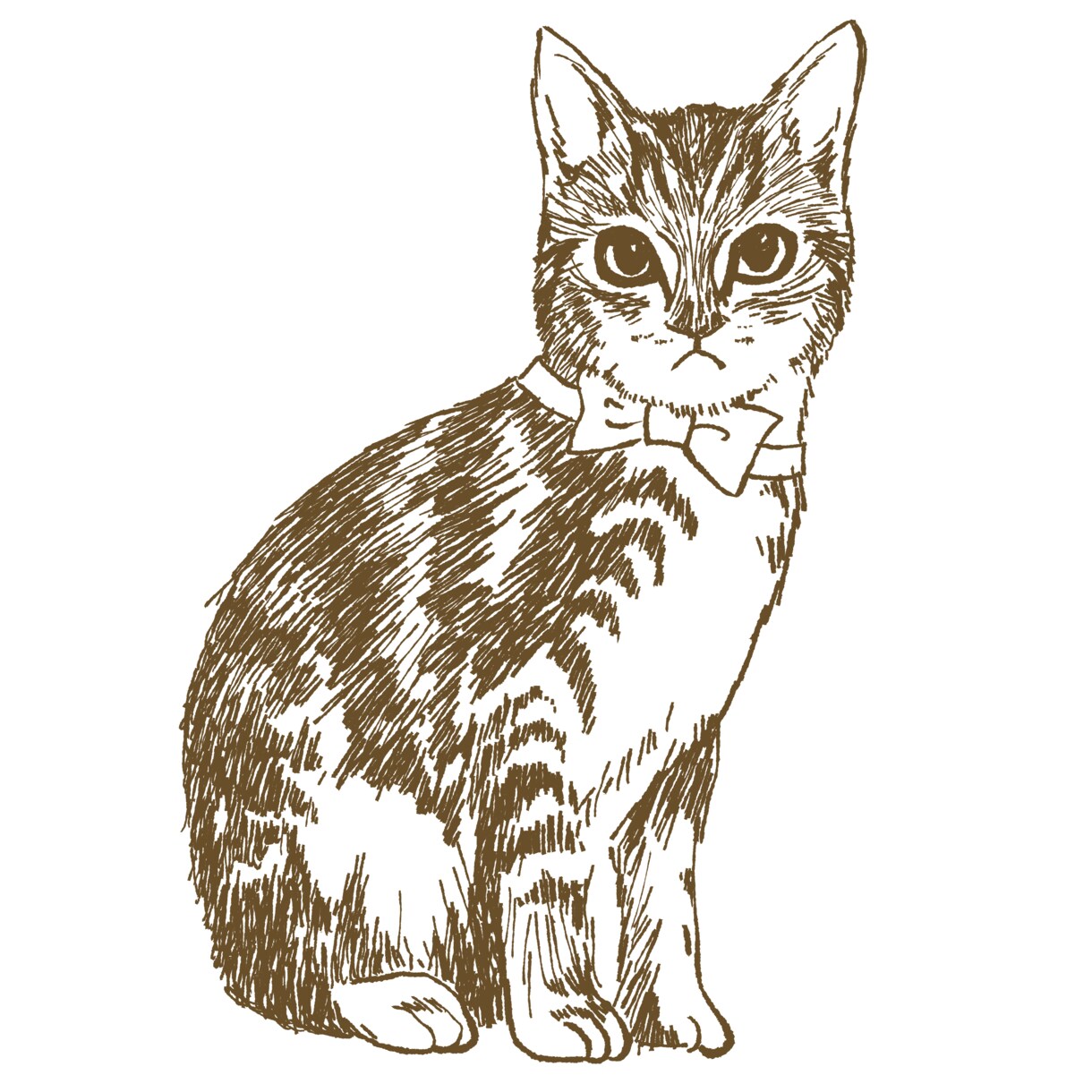 ペットのデジタルイラストを作成します 画像データでお届け  オリジナルグッズなどにご利用ください！ イメージ6